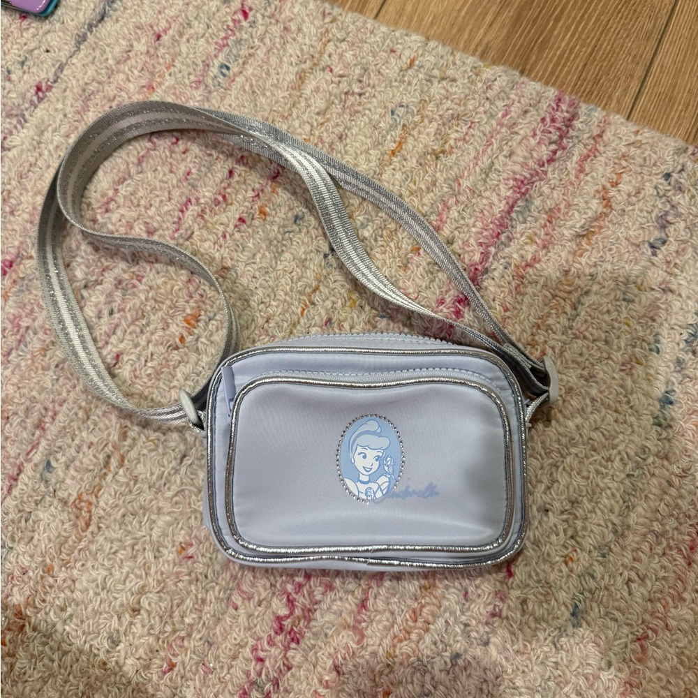 Cinderella purse